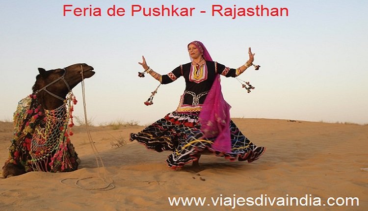 Feria de camello de pushkar Rajasthan